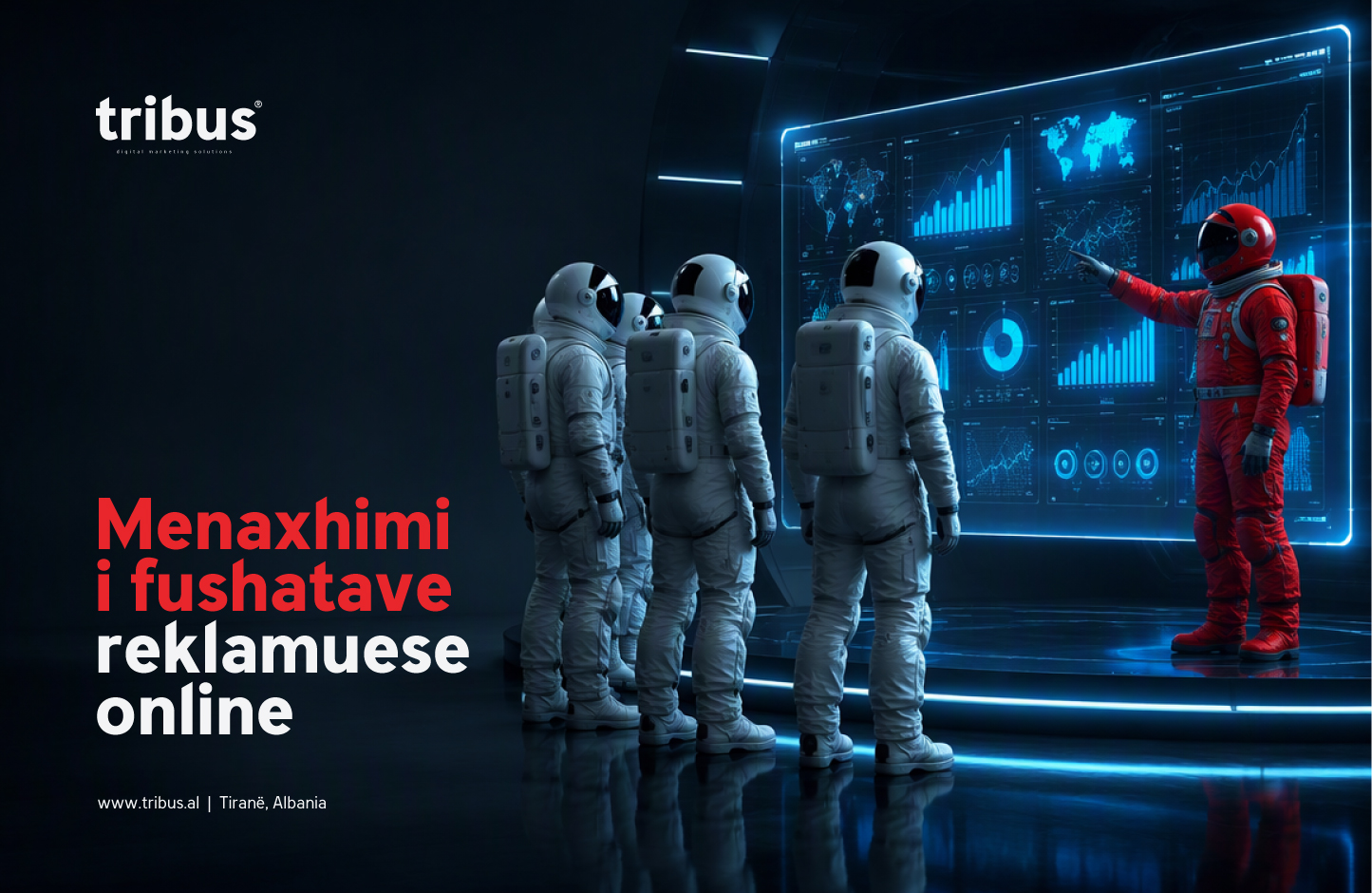 Menaxhimi i fushatave reklamuese online
